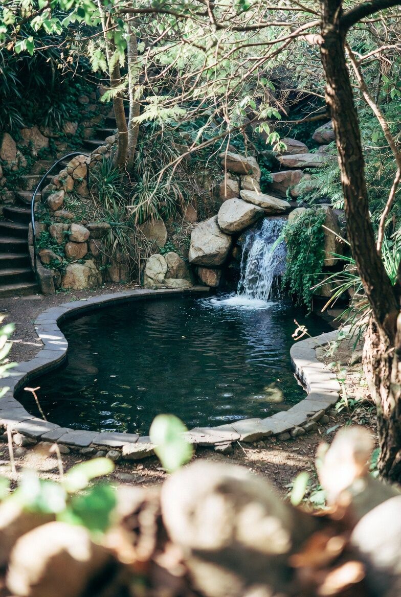 Cusoon Pools project 3